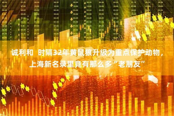 诚利和  时隔32年黄鼠狼升级为重点保护动物，上海新名录里竟有那么多“老朋友”