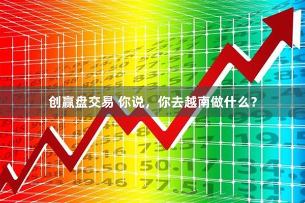 创赢盘交易 你说，你去越南做什么？