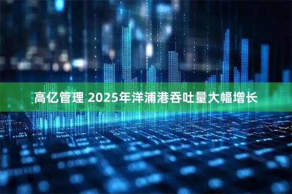 高亿管理 2025年洋浦港吞吐量大幅增长