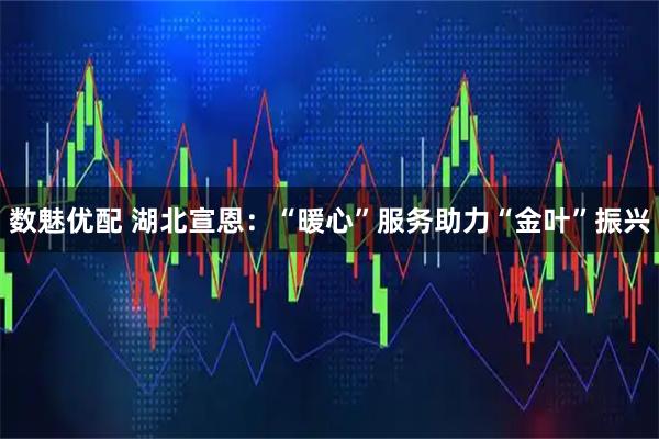 数魅优配 湖北宣恩：“暖心”服务助力“金叶”振兴